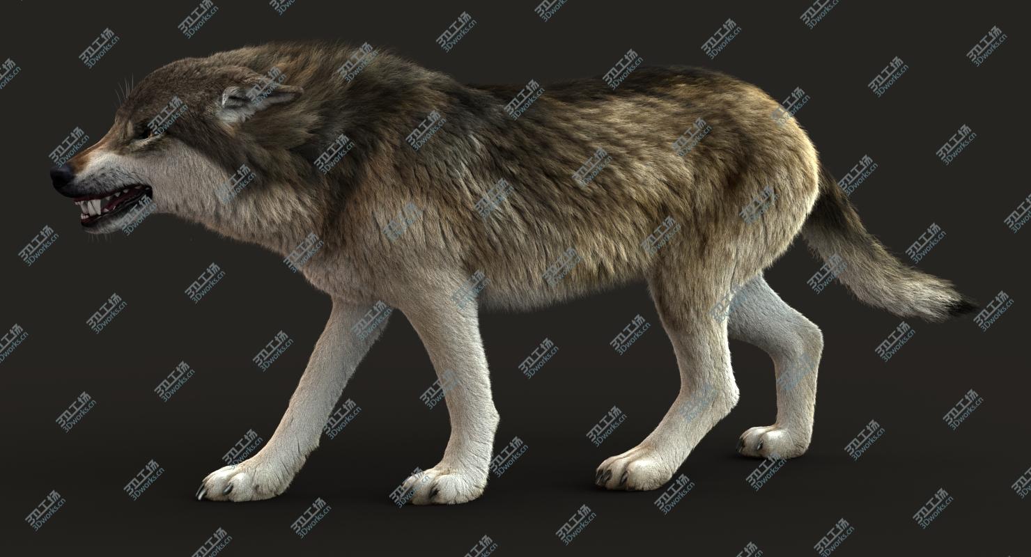 images/goods_img/20210113/Wolf 3 RIG FUR model/3.jpg